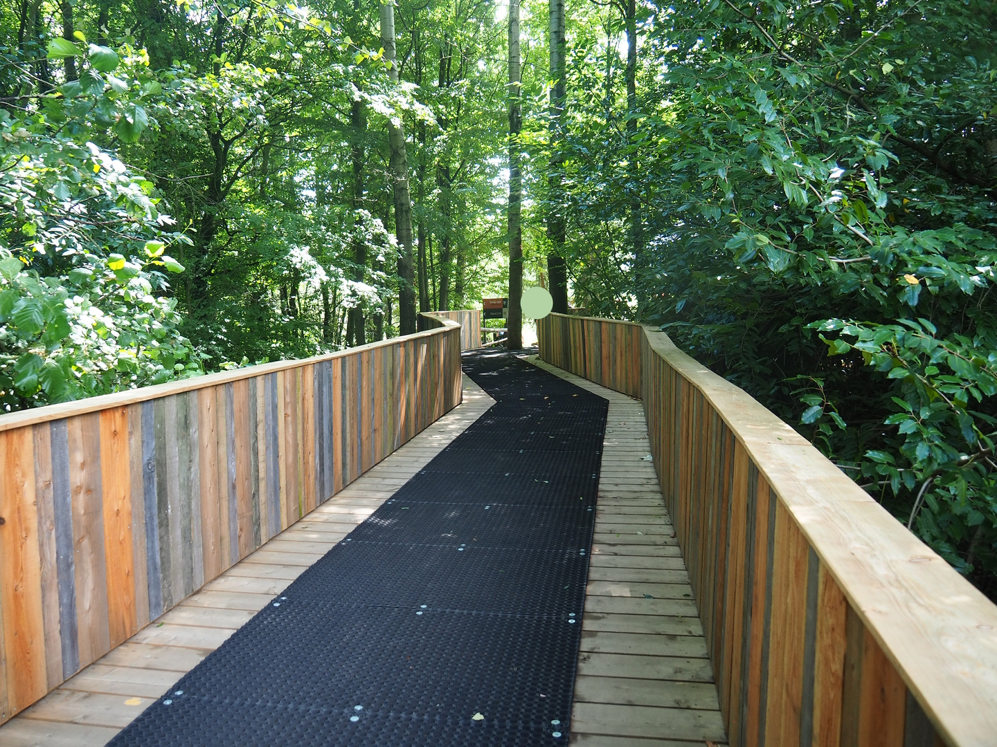 Bridge between the Rainforest and Taiga sections, 2022-08-20