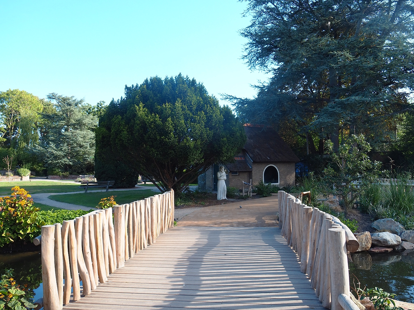 Bridge from Argentine Cerrado to multi-purpose house and Nocturnal bird house, 2022-08-28