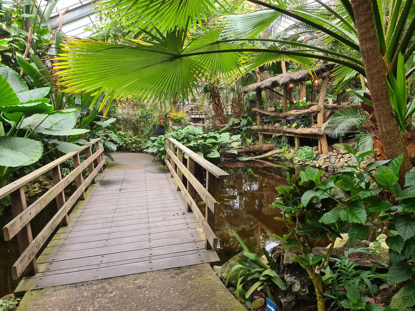 Bridge in "Amazon" hall