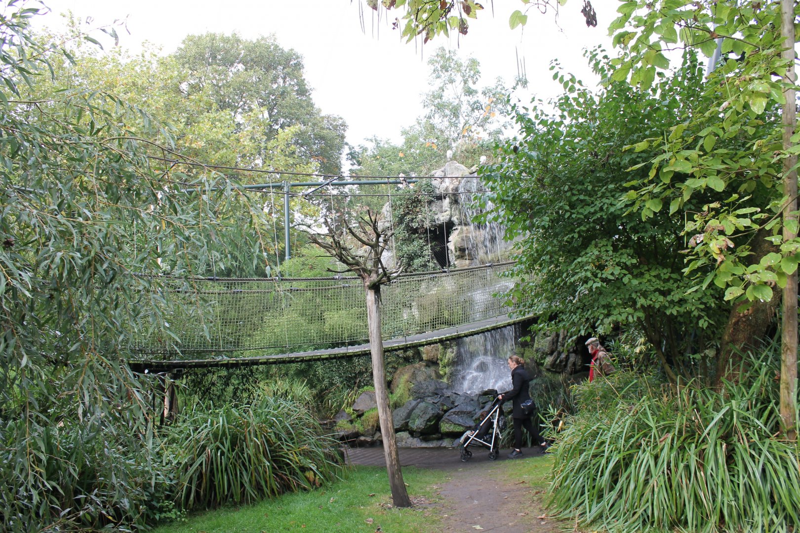 Bridge in Asian walk-through-aviary