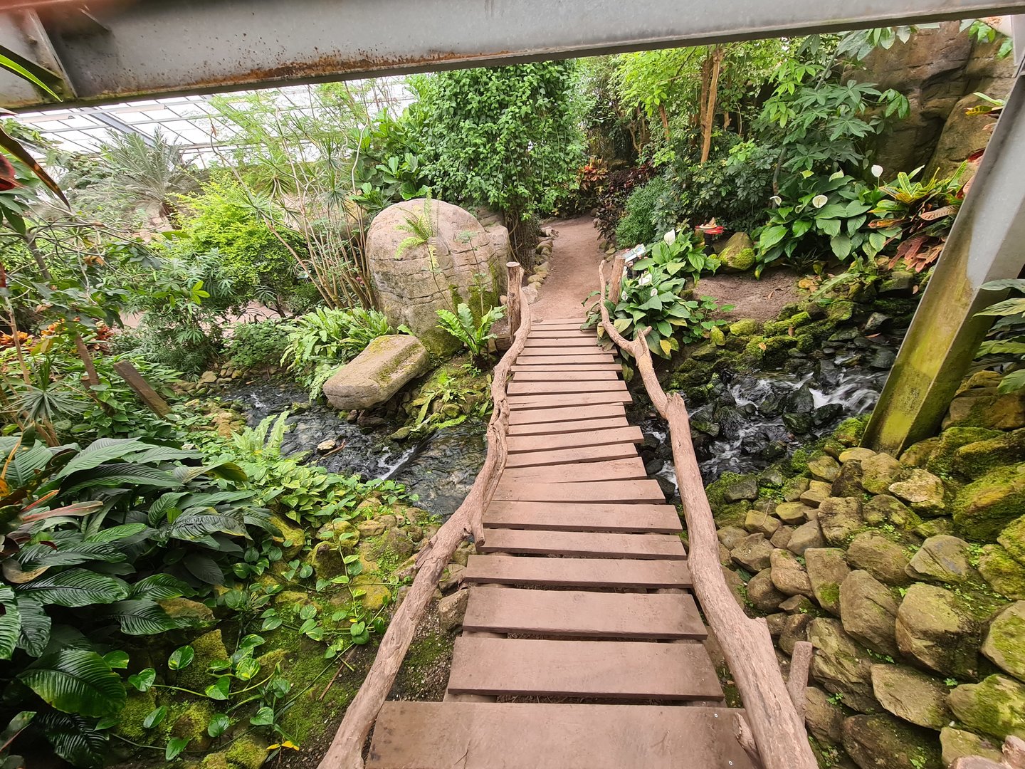 Bridge in Butterfly valley