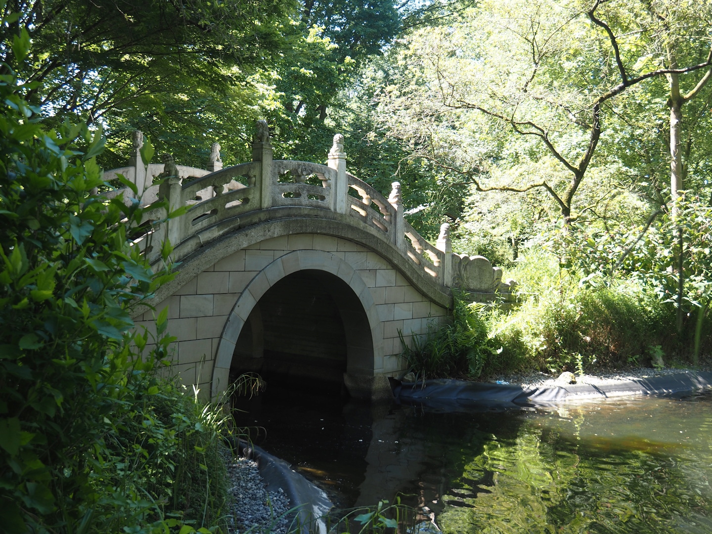 Bridge in Chinese garden, 2024-06-08