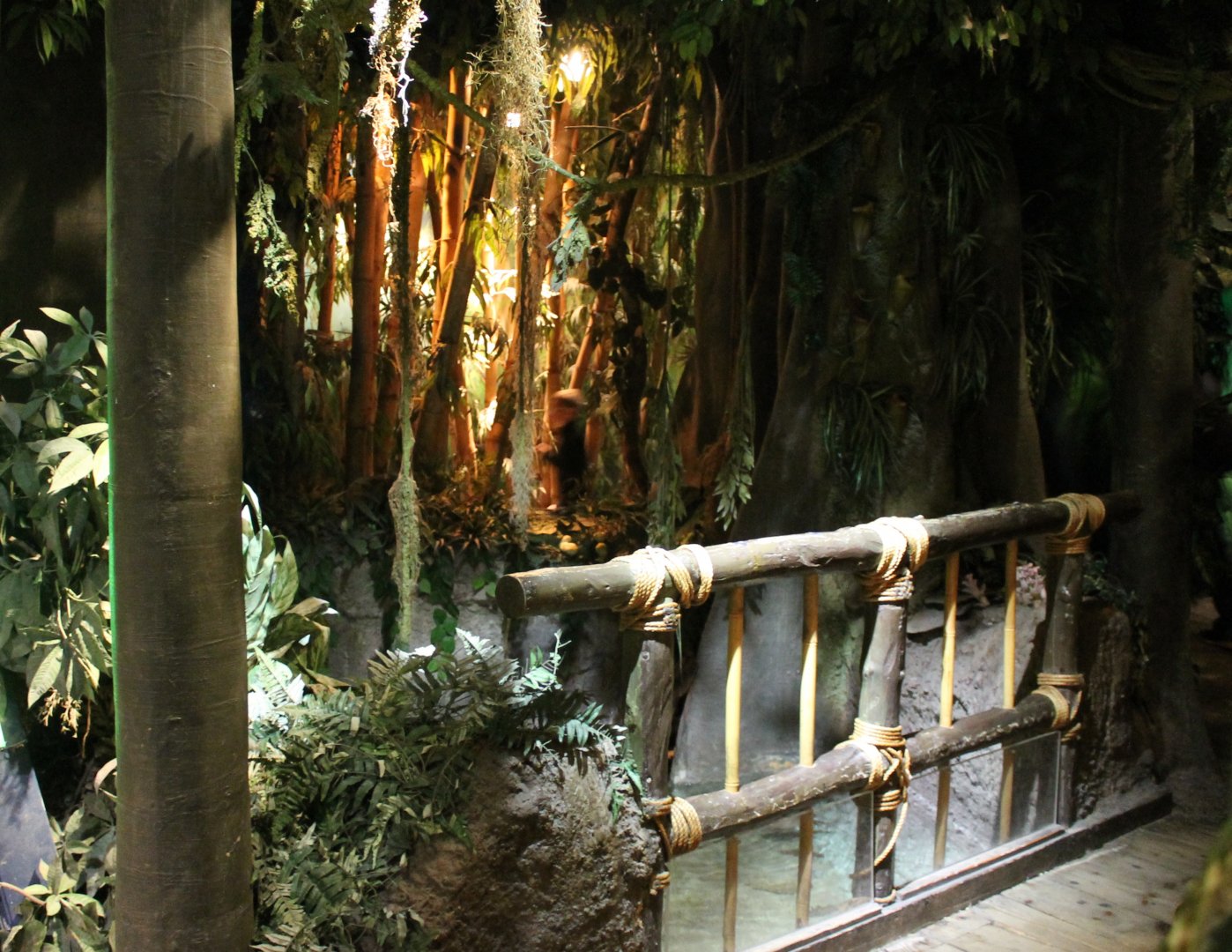 Bridge in Jungle area