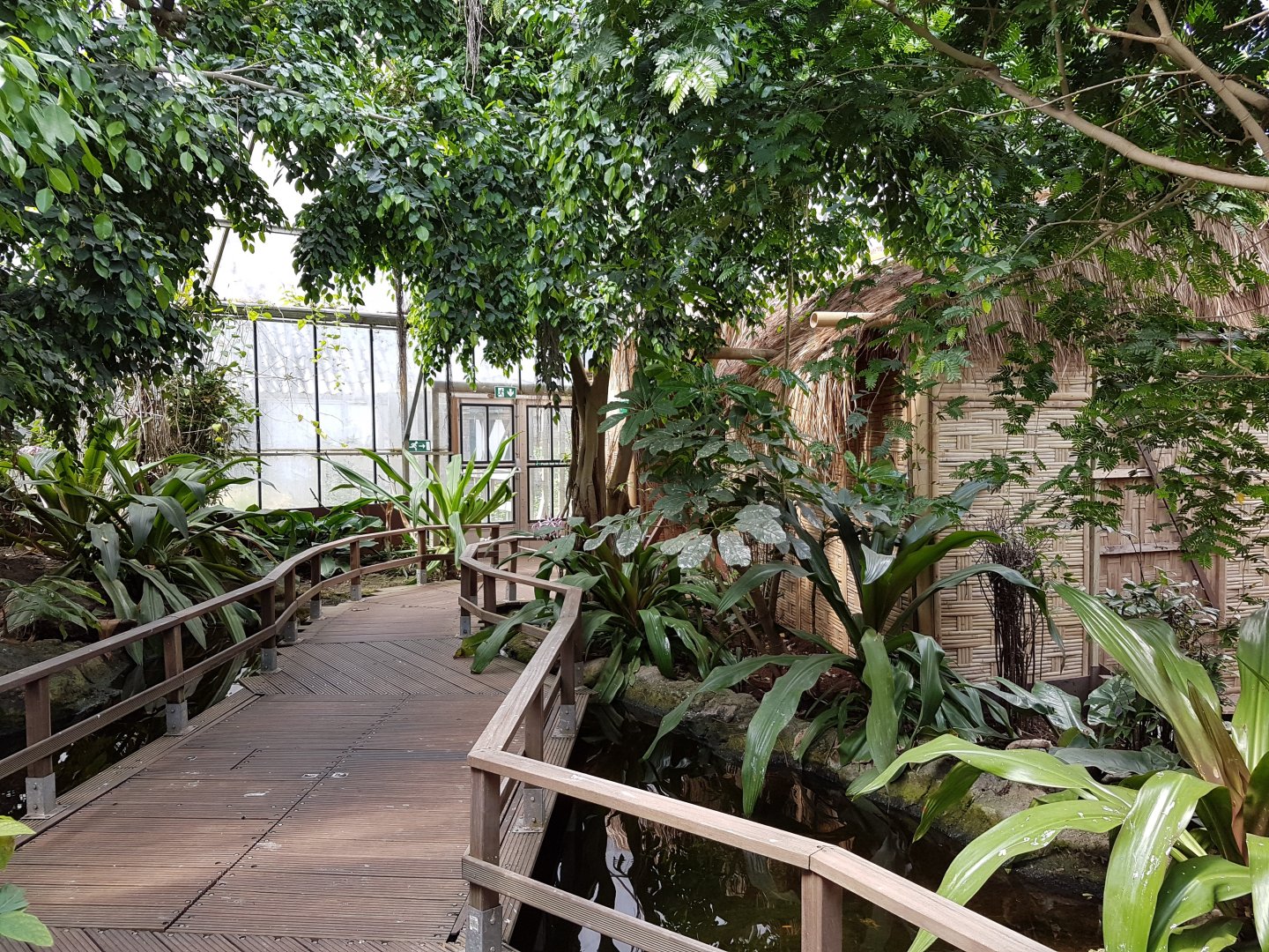 Bridge in Pantanal-part Tropical House
