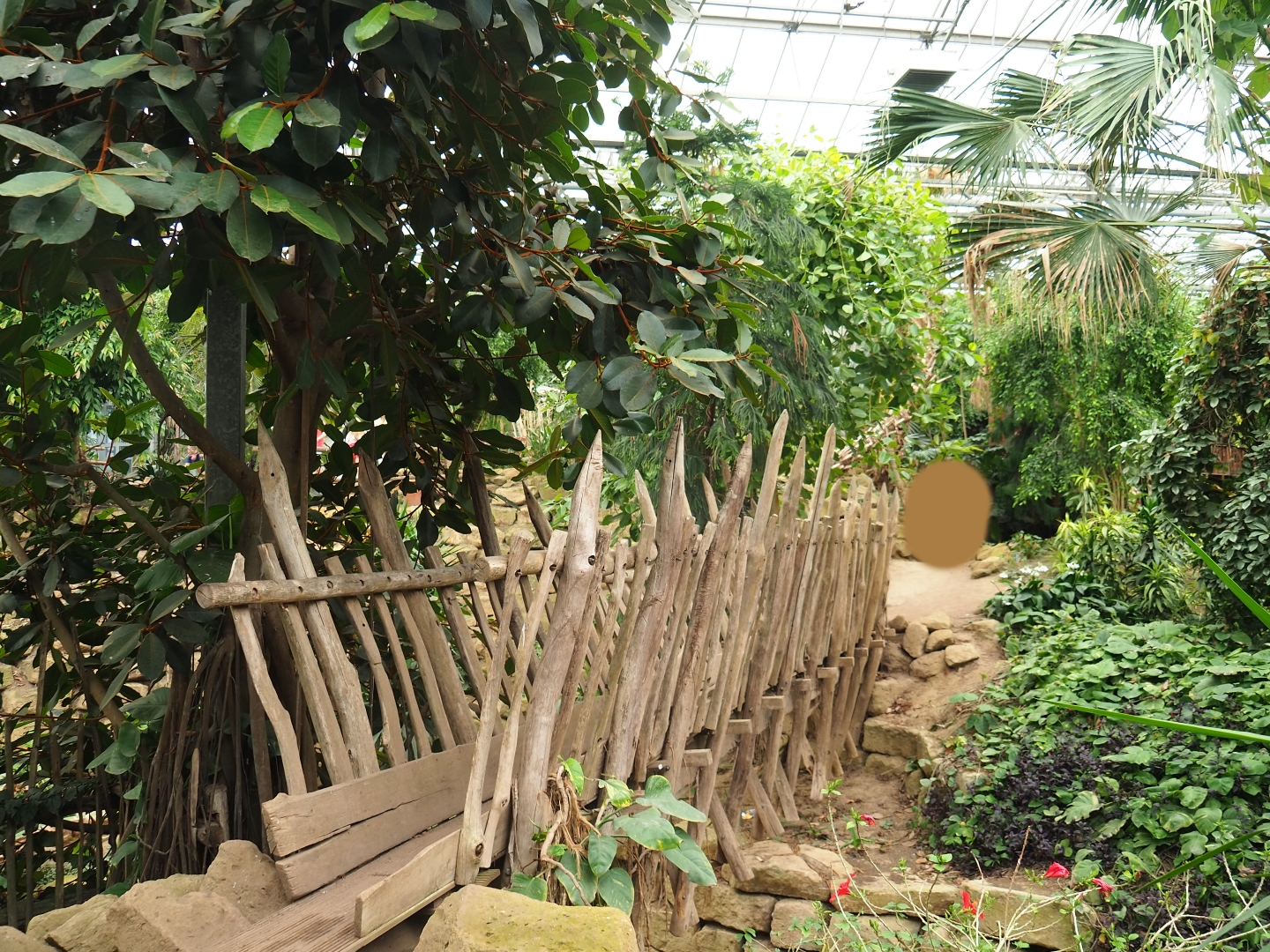 Bridge in the Tropical hall (Aug 28th, 2018)