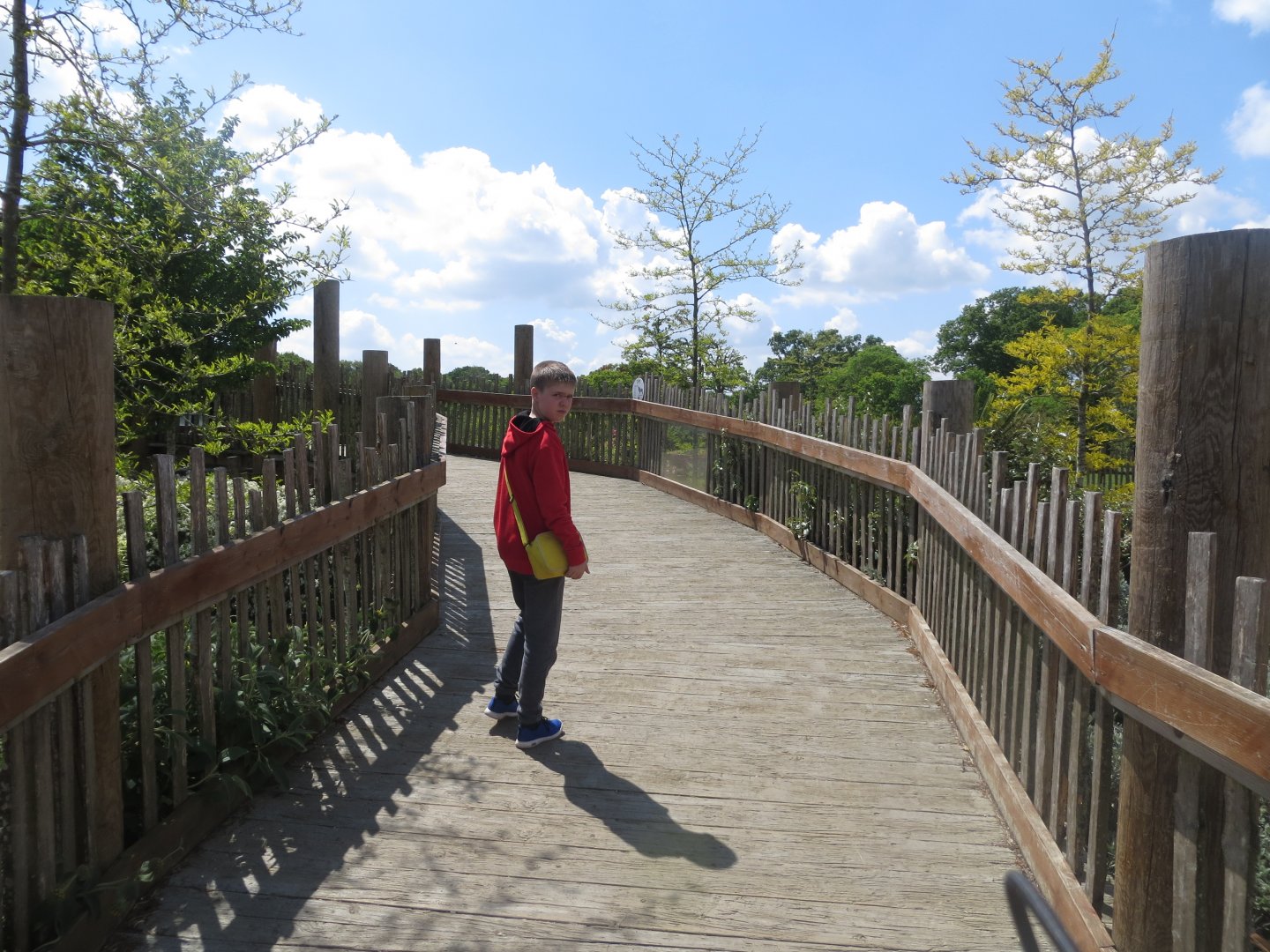 Bridge in Wild Explorers plus future Zoo Chatter 110519