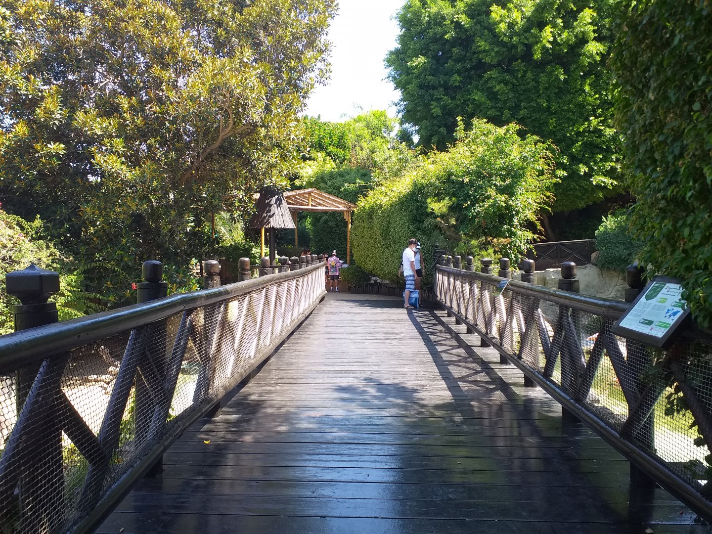 Bridge -MundoMar Benidorm (2021)