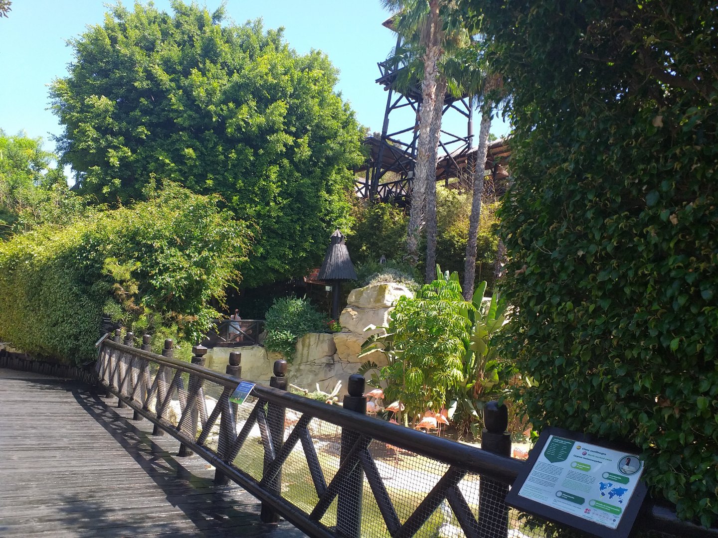 Bridge -MundoMar Benidorm (2021)