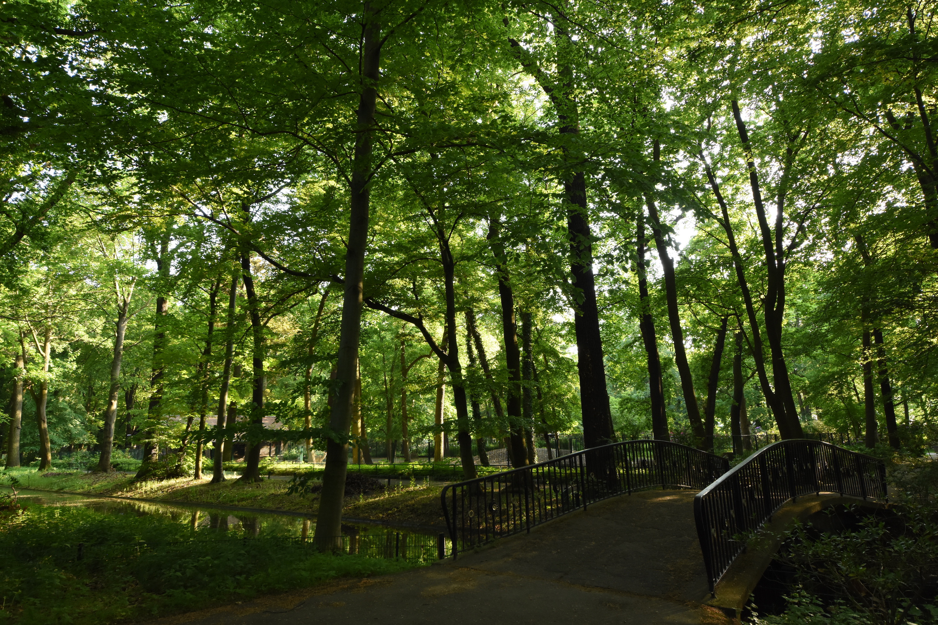 Bridge next to deer enclosures