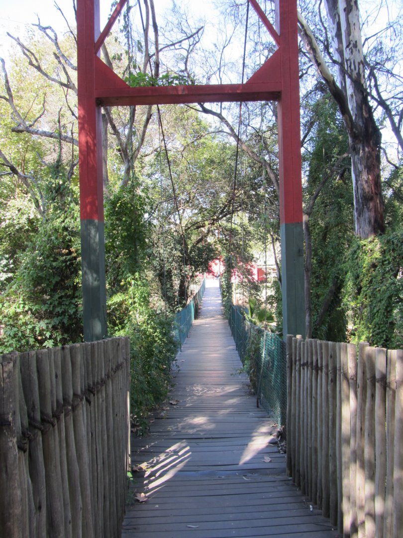 Bridge over Apies River