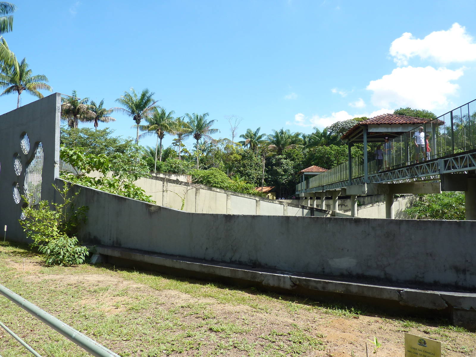 Bridge over big cat complex