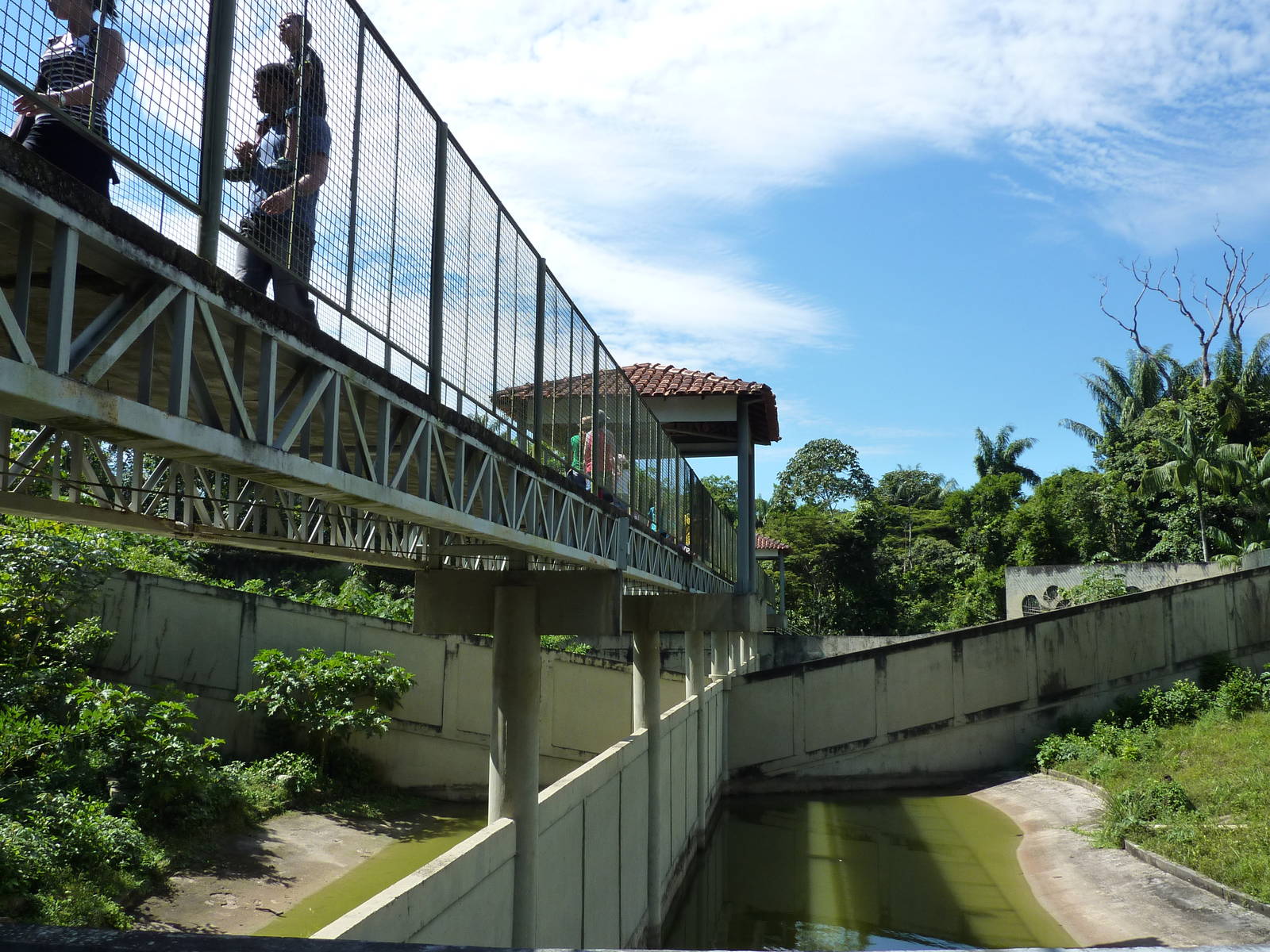 Bridge over big cat complex