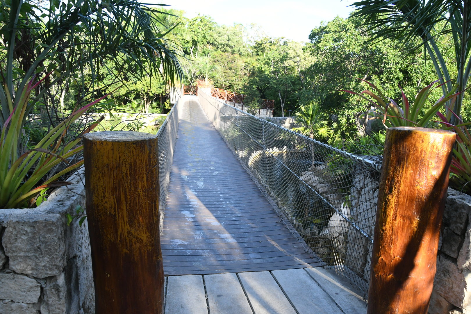 Bridge over Jaguar Exhibit