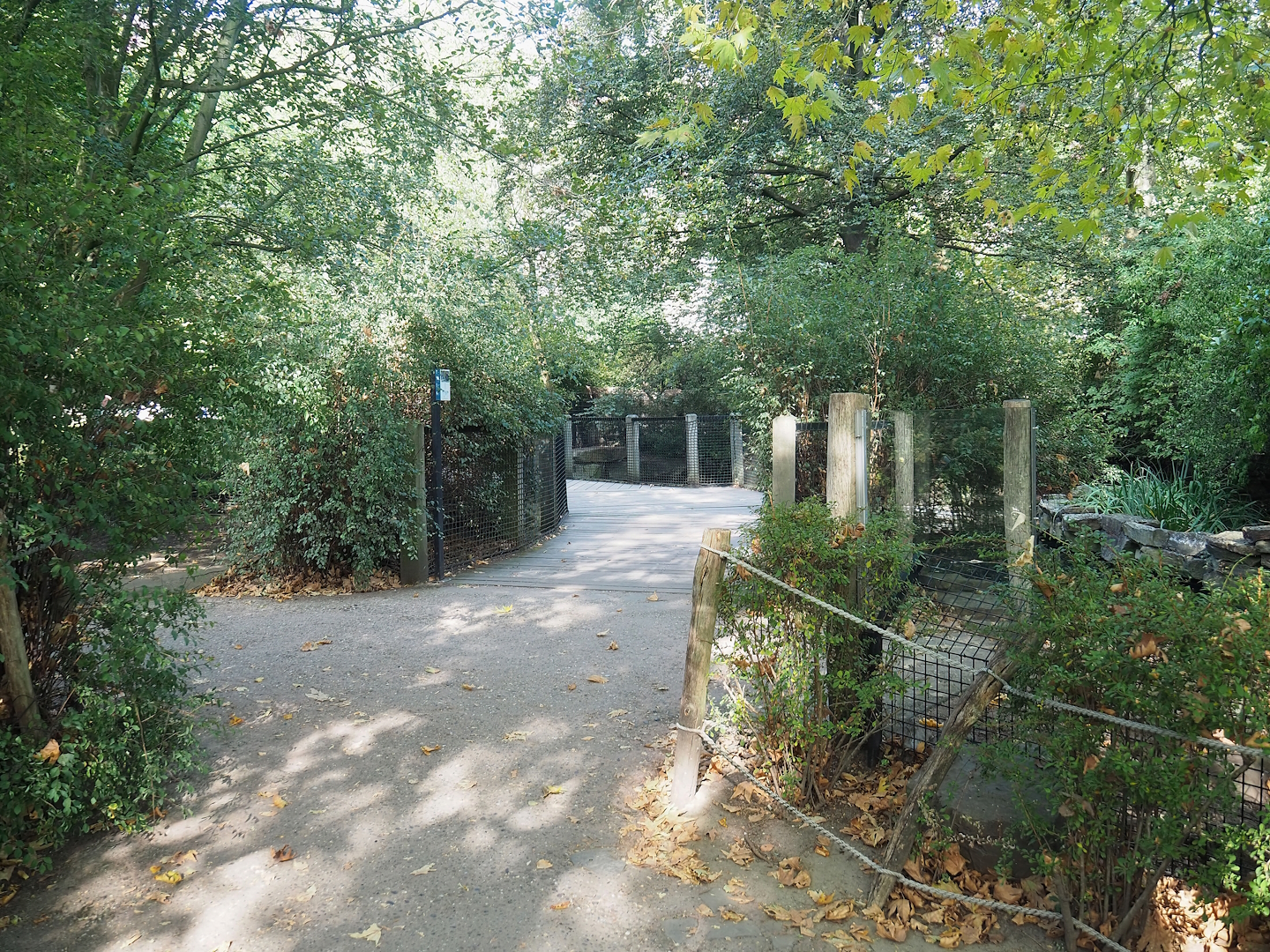 Bridge over nutria exhibit, 2022-09-04