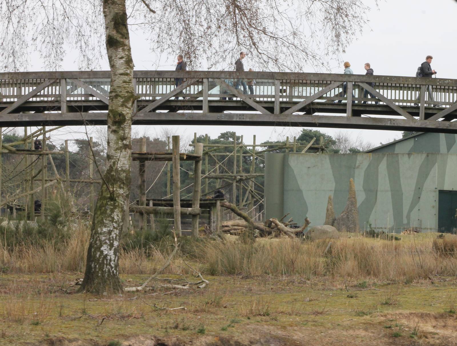 Bridge over one of the Chimp enclosures