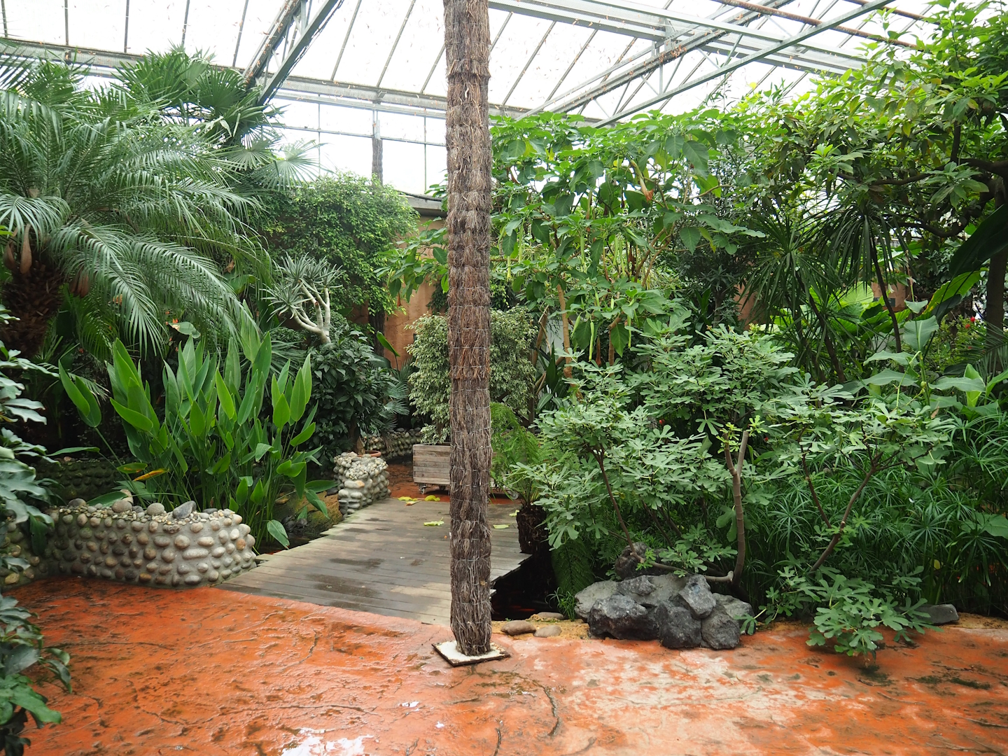 Bridge over pond in the Oasis greenhouse, 2023-10-13