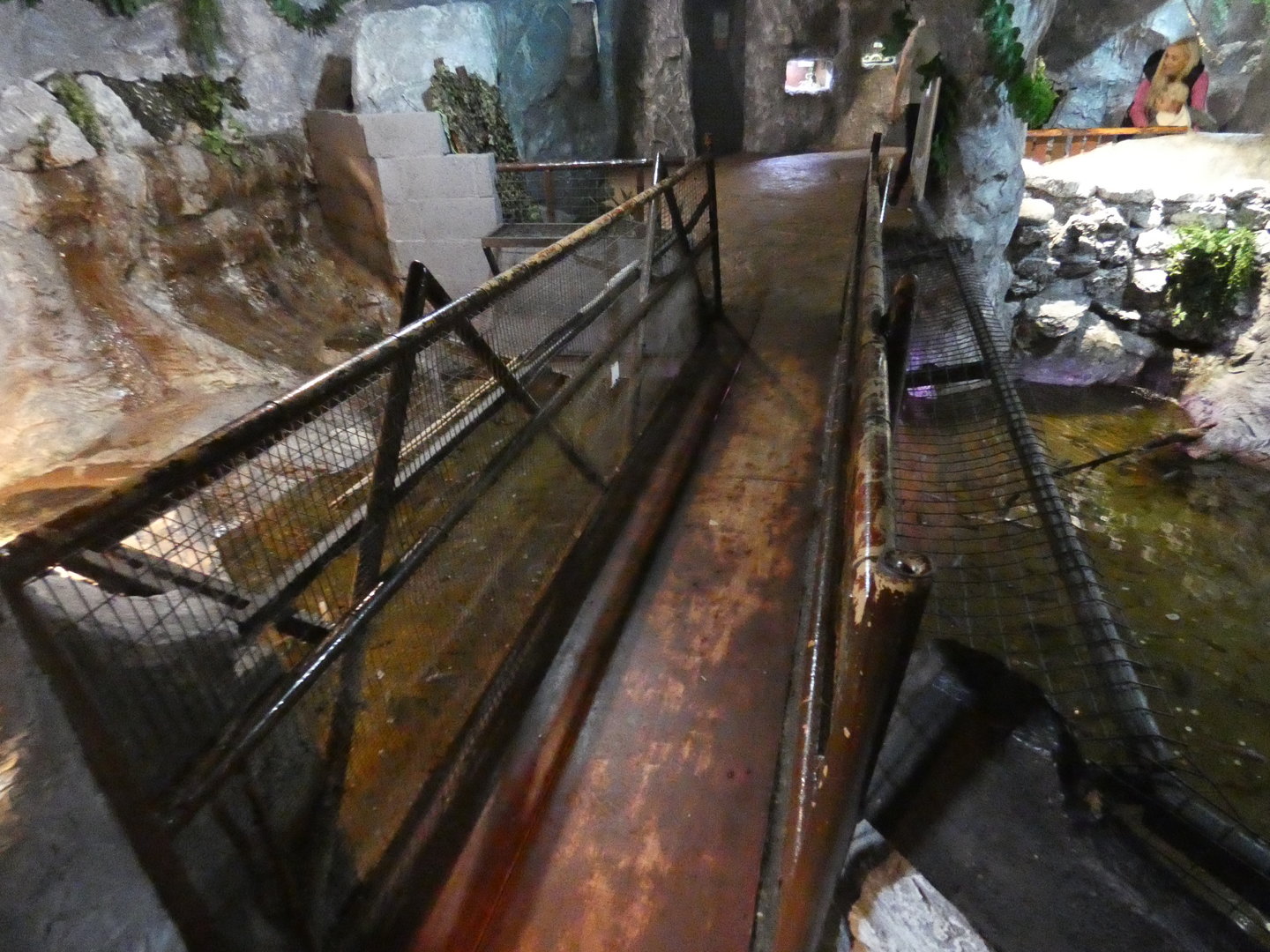 Bridge over the caiman enclosure