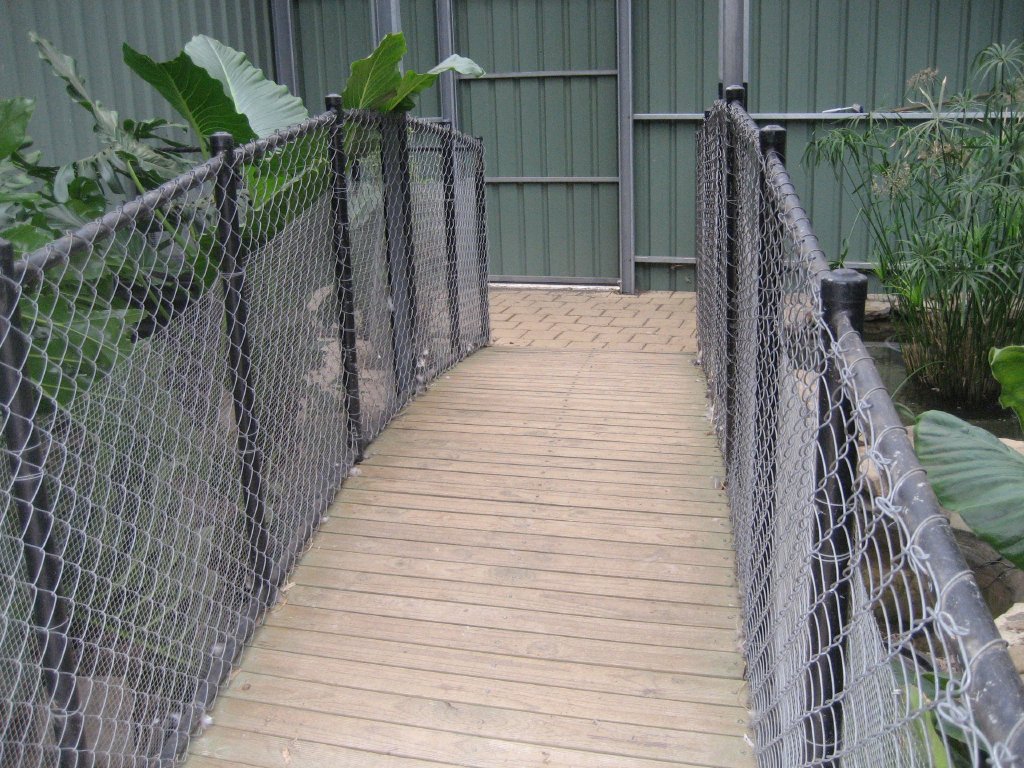 Bridge over the Freshwater Crocodile enclosure