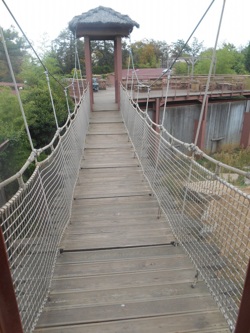 Bridge over the geladas exhibit