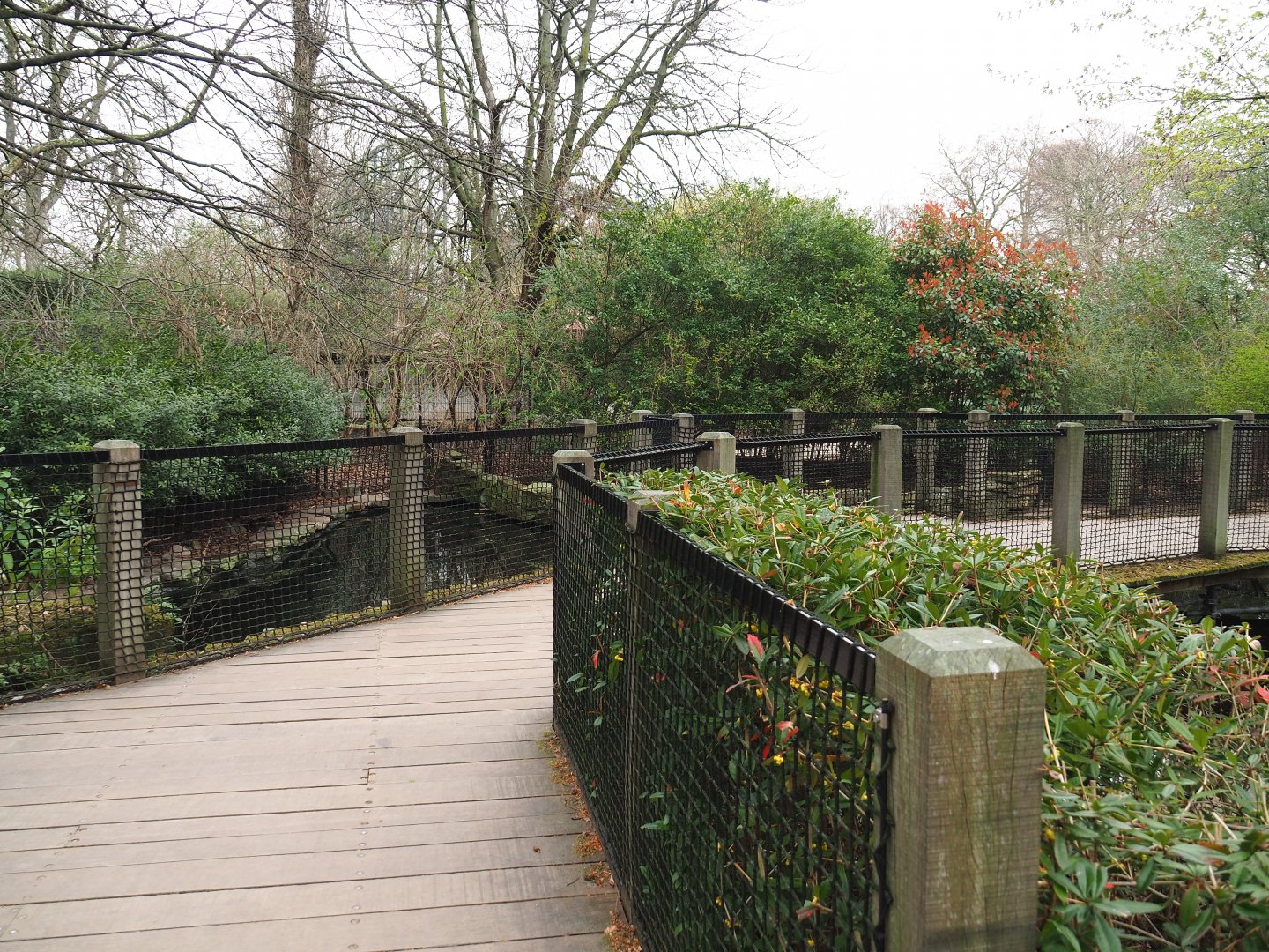 Bridge over the Nutria exhibit, 2022-03-16