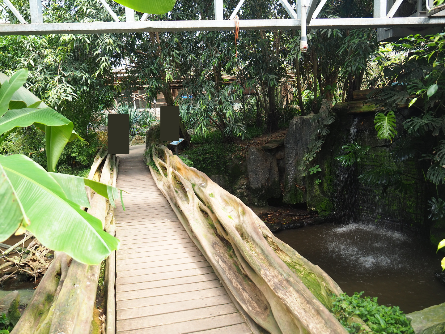 Bridge over the Nutria, Yellow-bellied slider and Red-eared slider exhibit, 2019-08-04