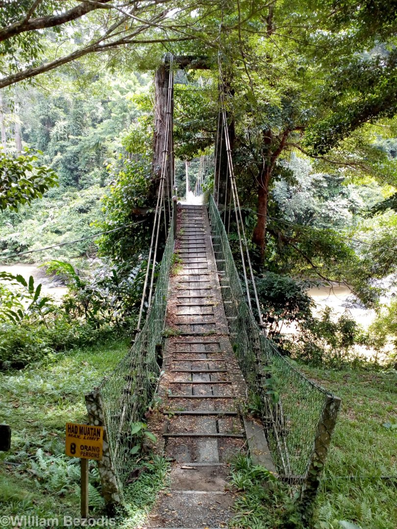 Bridge over the Segama River