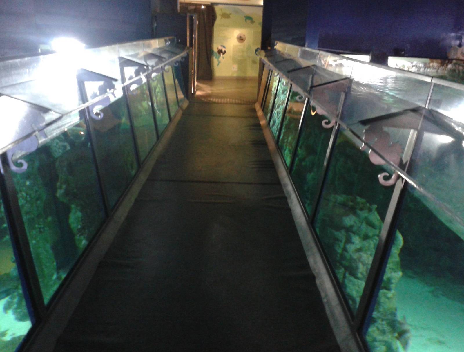 Bridge over the shark aquarium