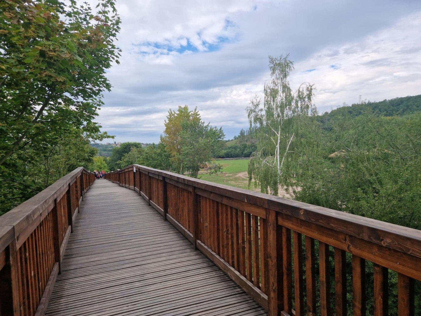 Bridge passing by the African Savanna, leads to the Gorilla pavilion