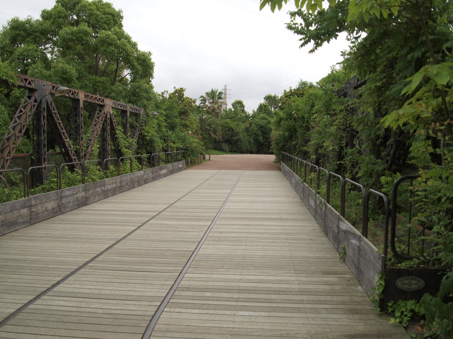 Bridge to African tropical rain forest