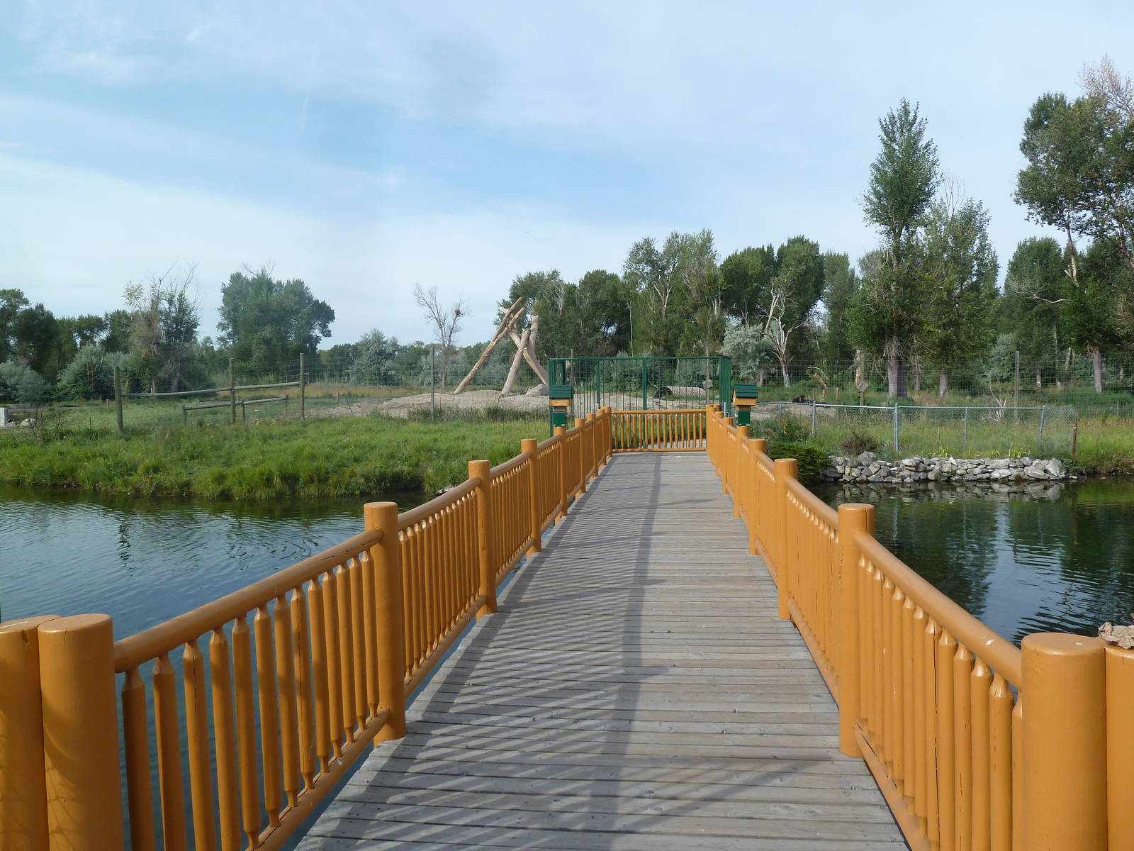Bridge to American Black Bear Exhibit Viewing Area