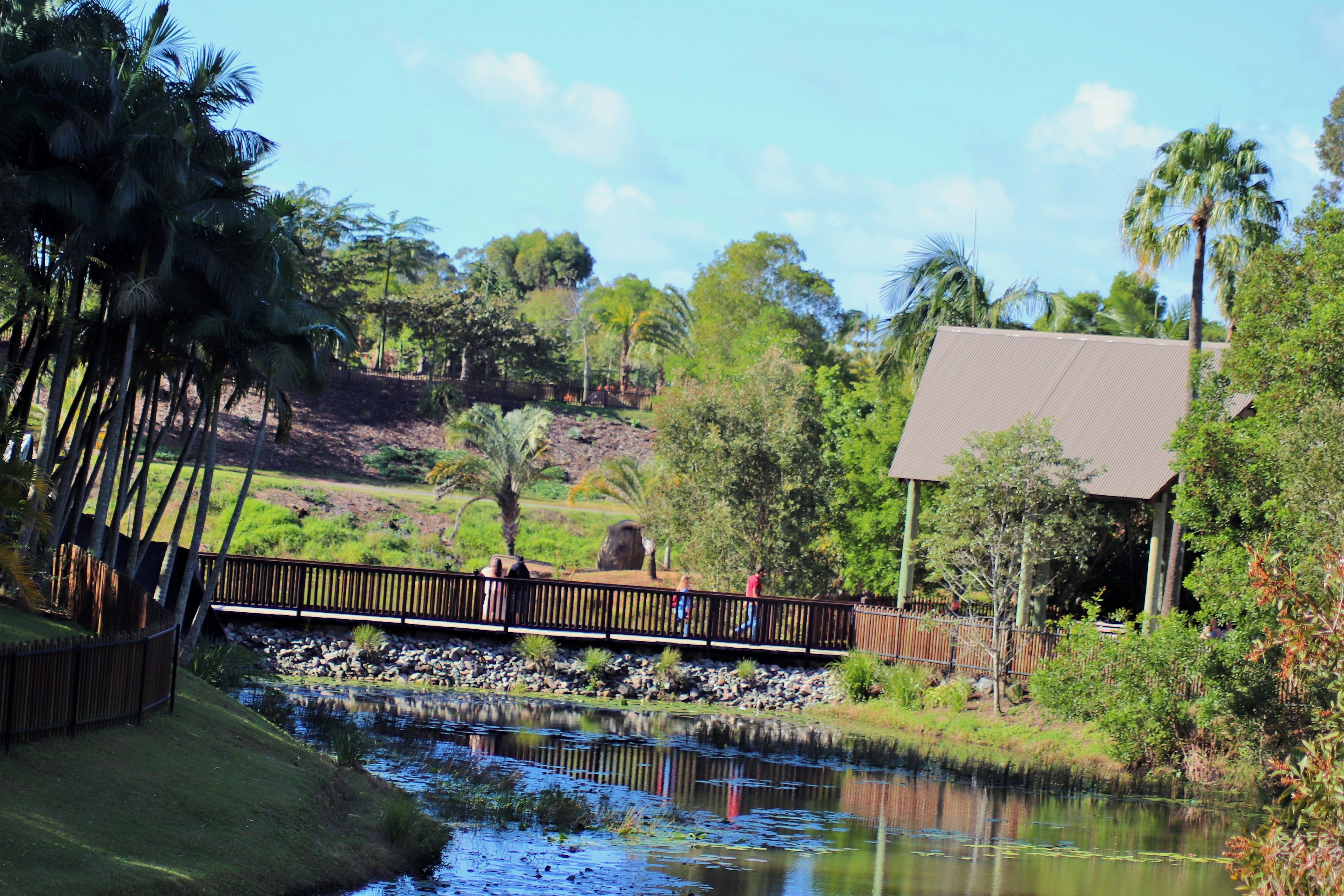 Bridge to Bindi's Island
