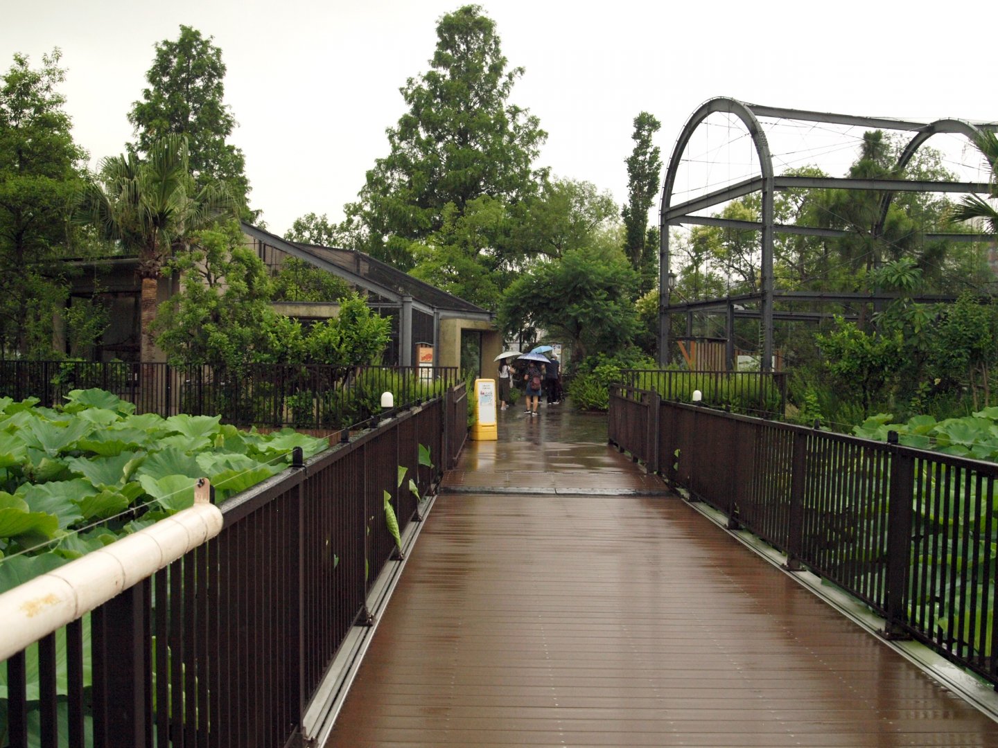 Bridge to Madagascar collection