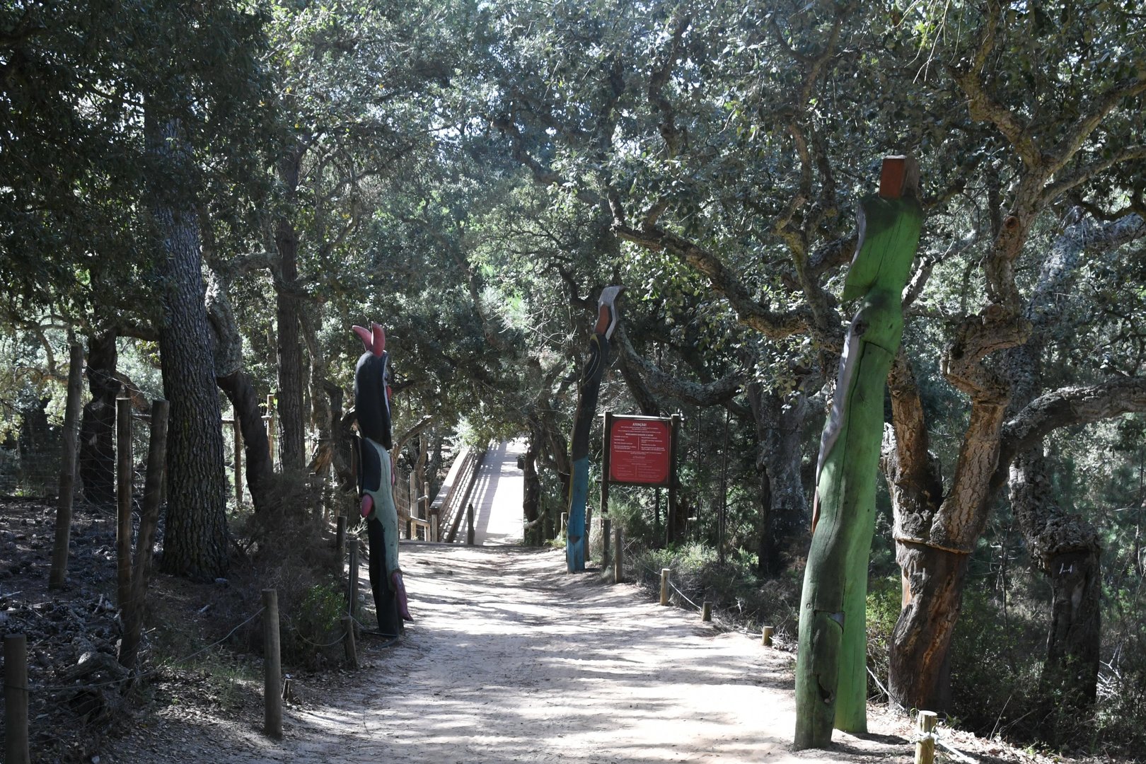 bridge to safari drive-through overlook