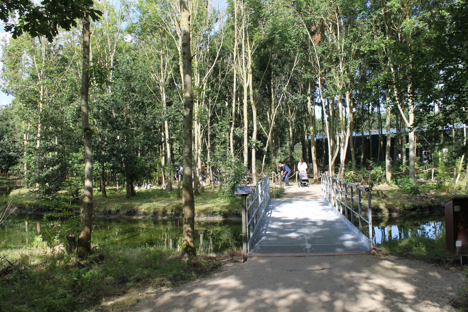 Bridge to the Lemur - Capybara Walk-through
