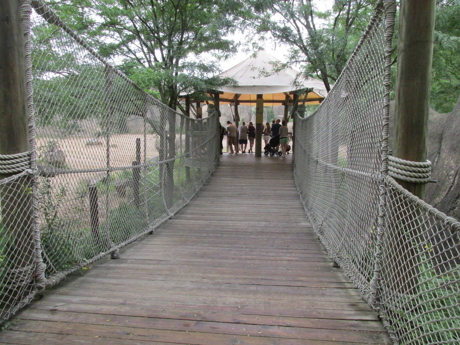 Bridge to White Rhino Lookout