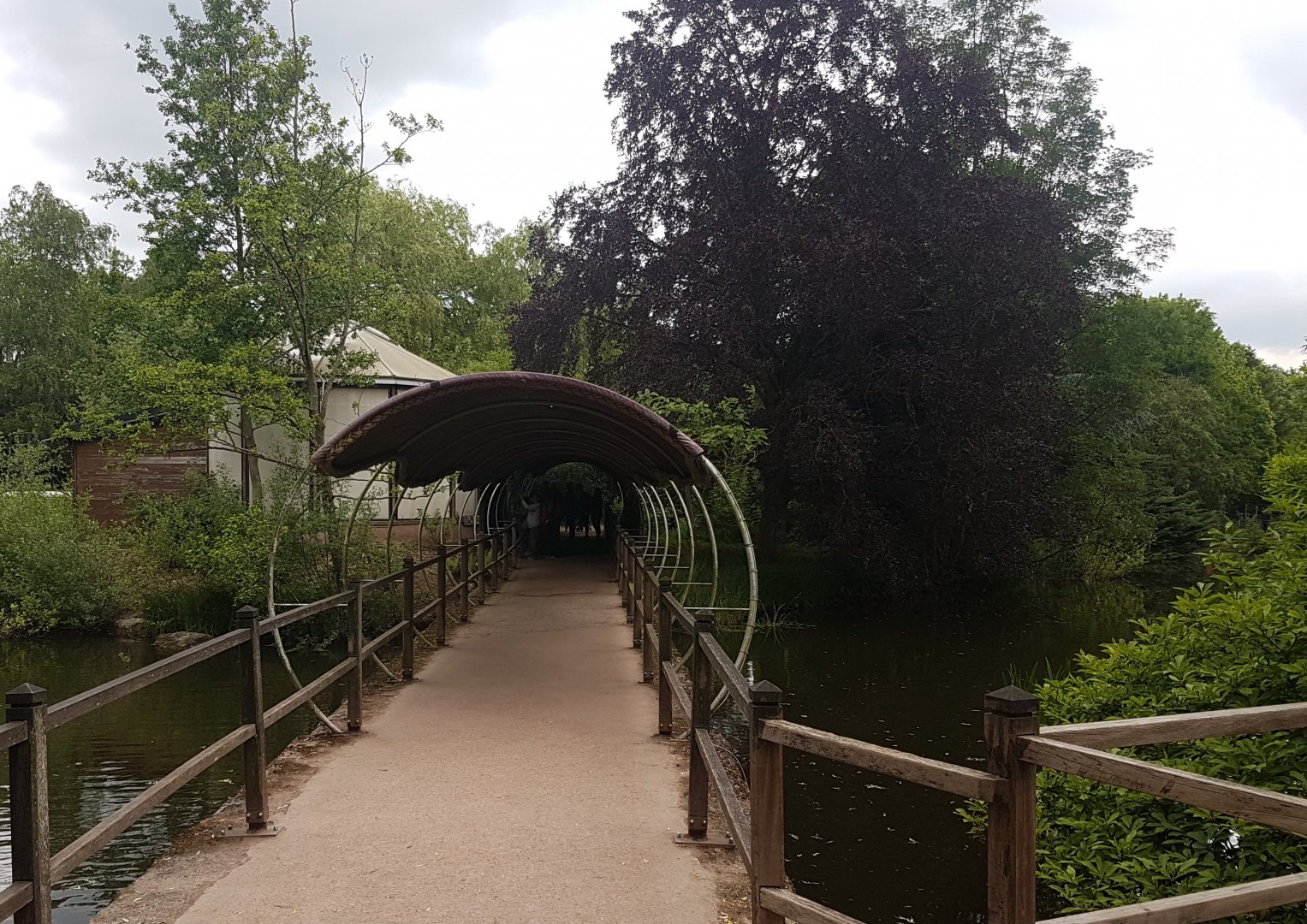 Bridge toward Koala-house