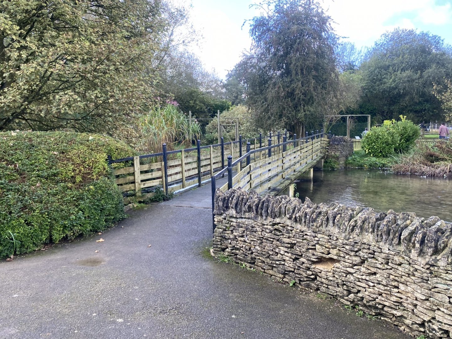 Bridge towards Southern cassowaries 241023
