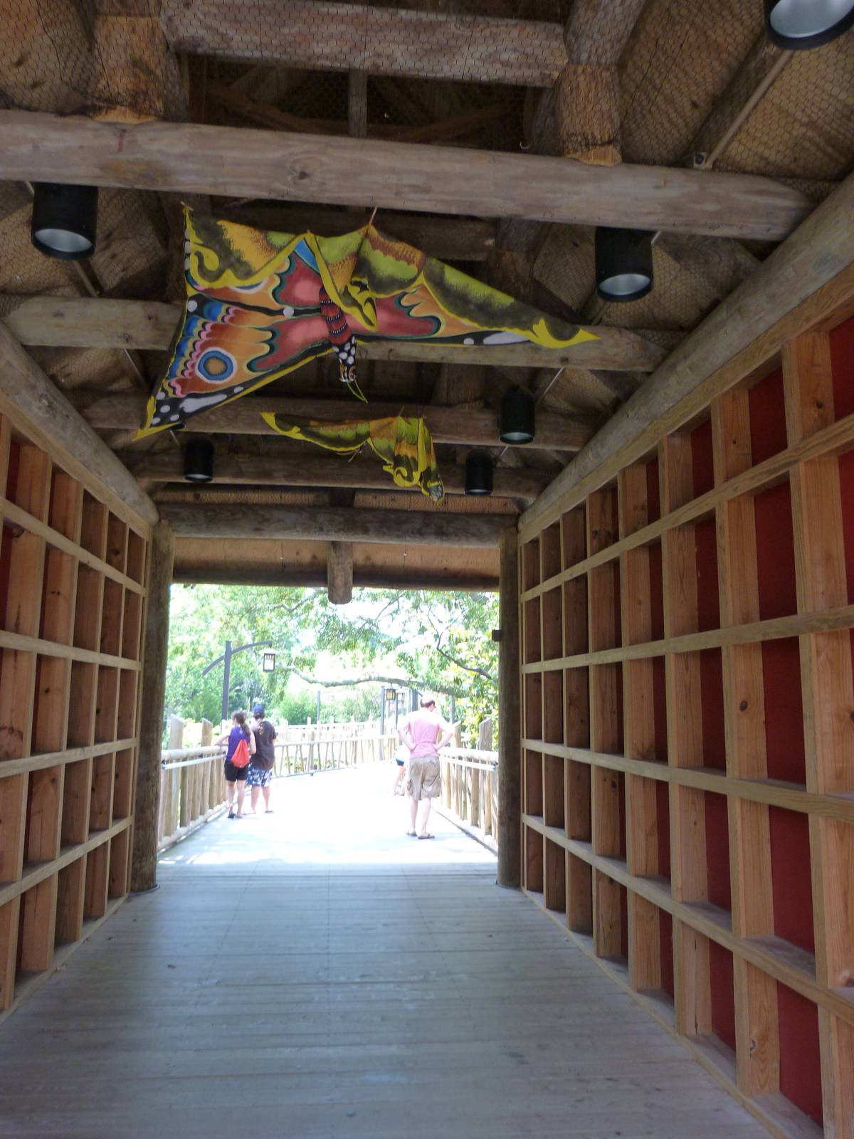 Bridge/Tunnel - Trail of the Tiger (7-17-12)