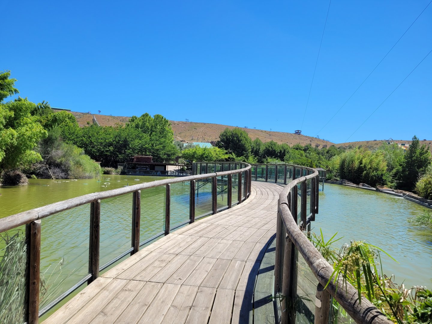 Bridge view -Sendaviva (2024)