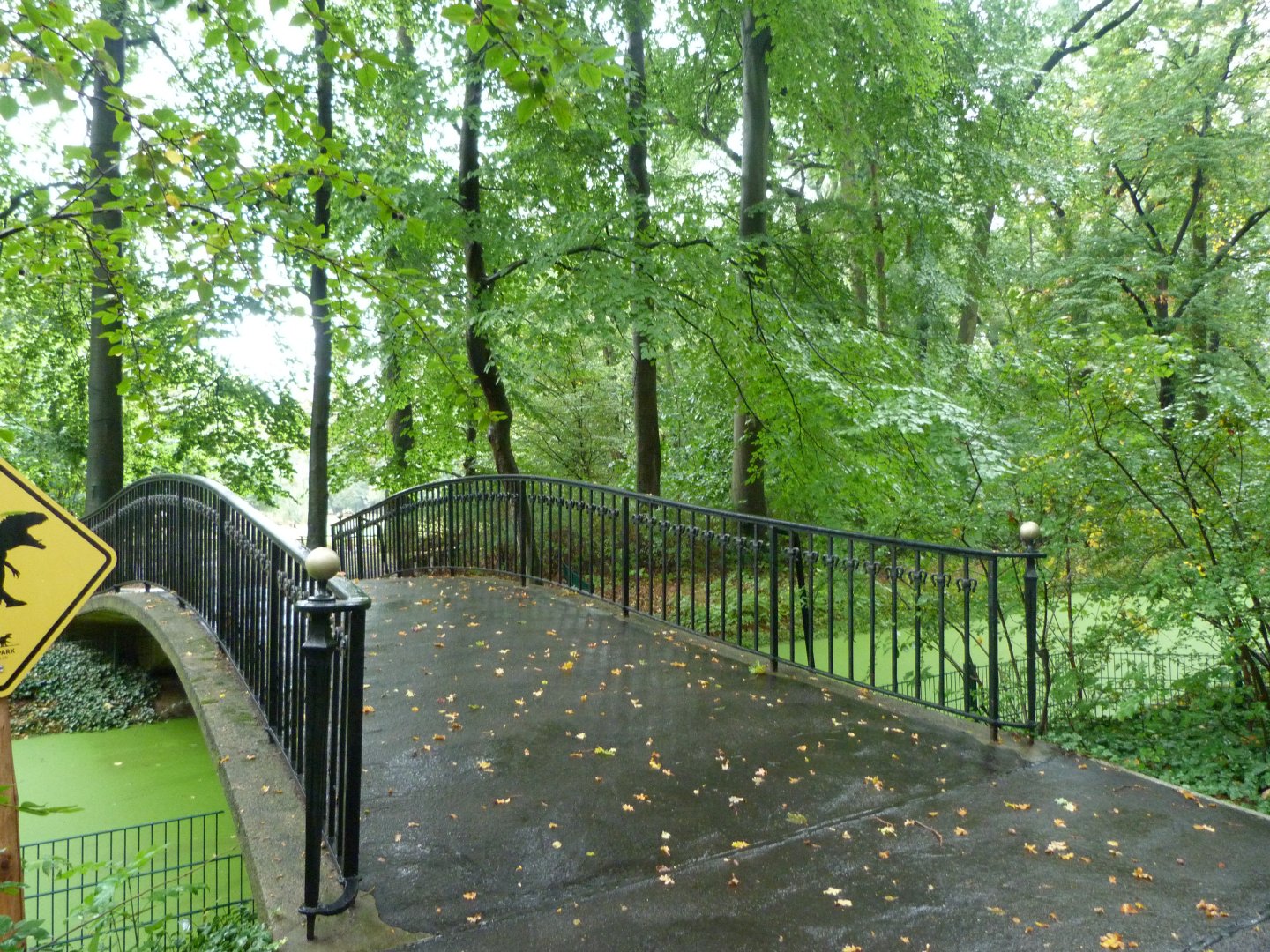 Bridge view -Tierpark Berlin (2024)