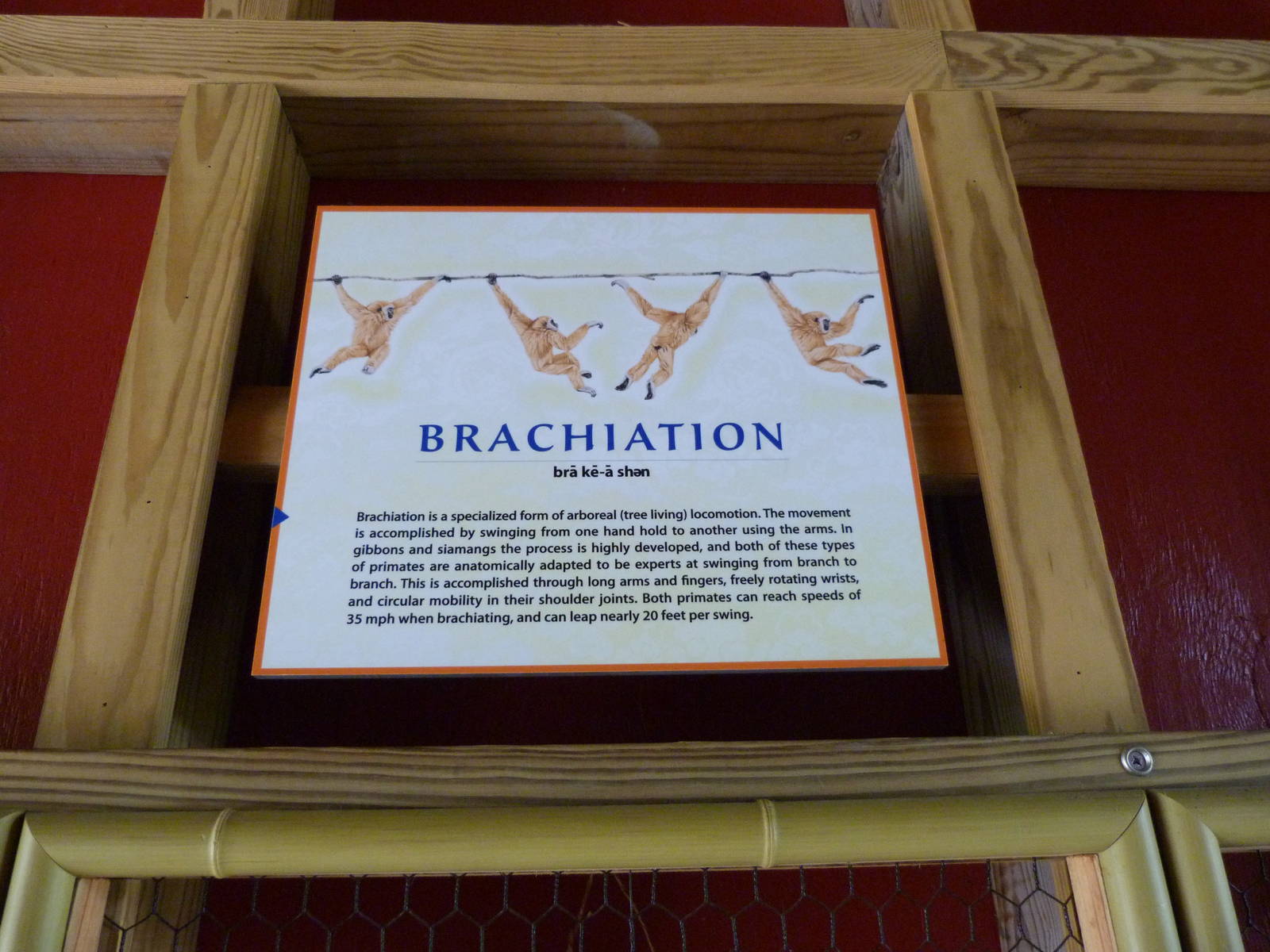 Bridge Visuals - Trail of the Tiger (7-17-12)