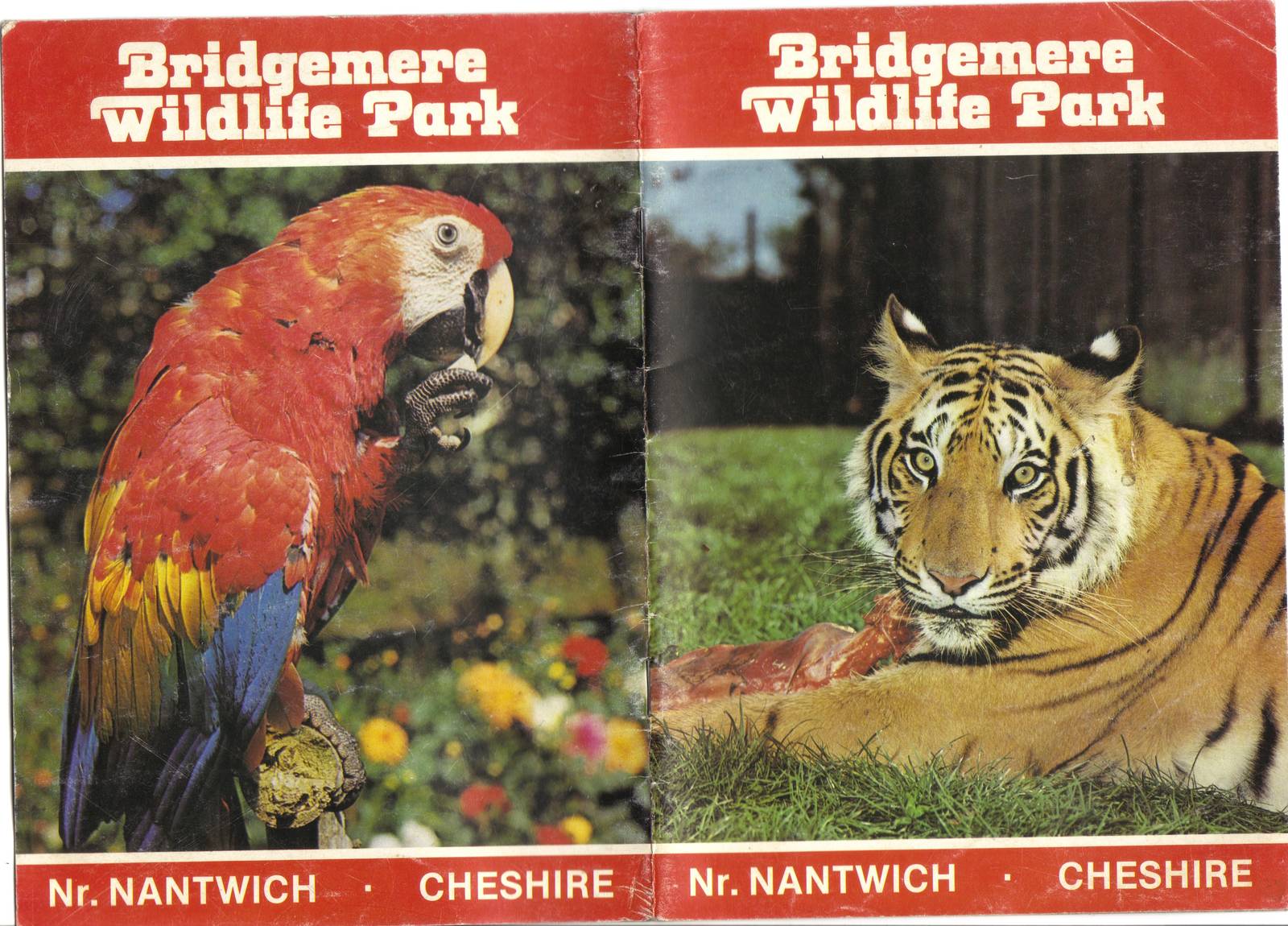 Bridgemere Wildlife Park Guidebook