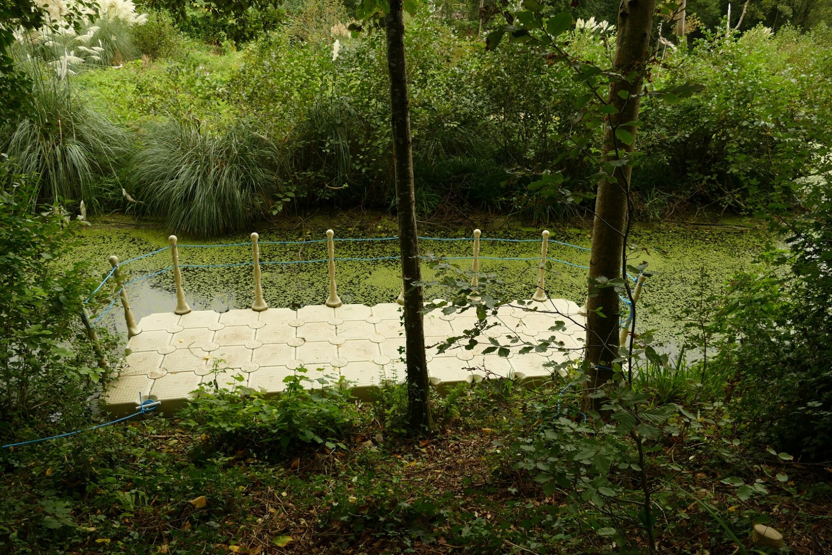 Bridges - continued, September 2021