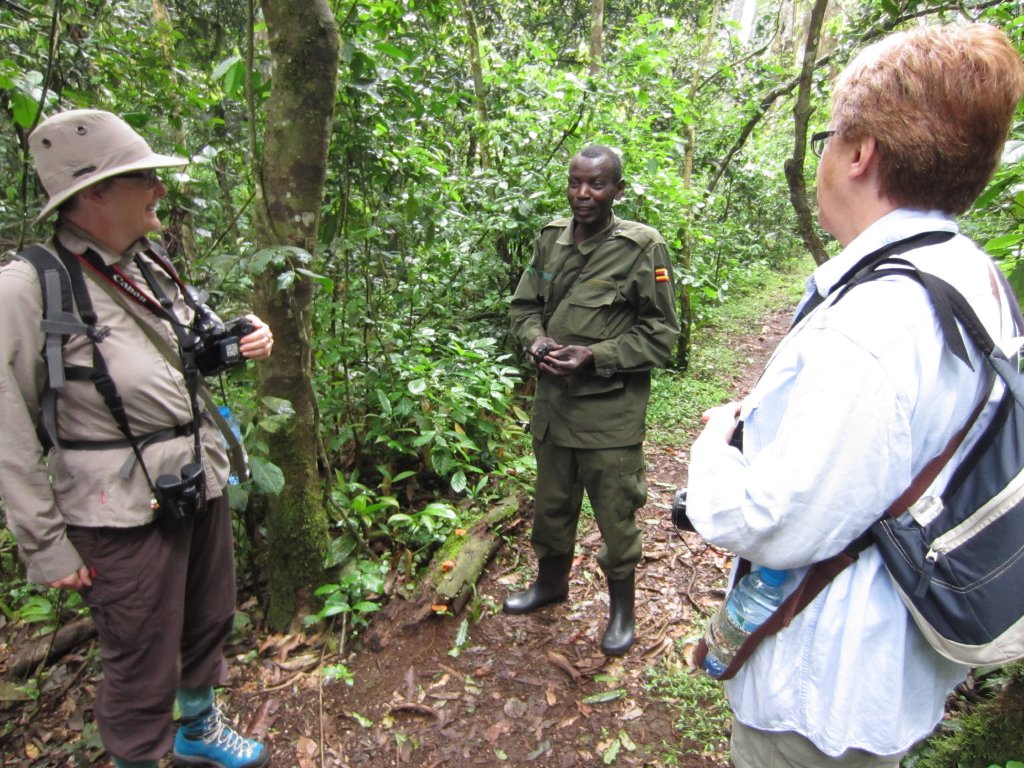Briefing: Orangeperson, Ranger/Guide Silver, and Angela