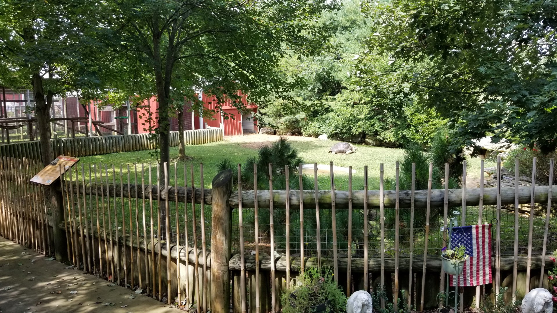 Brights Zoo - Aldabra, Sulcata yard