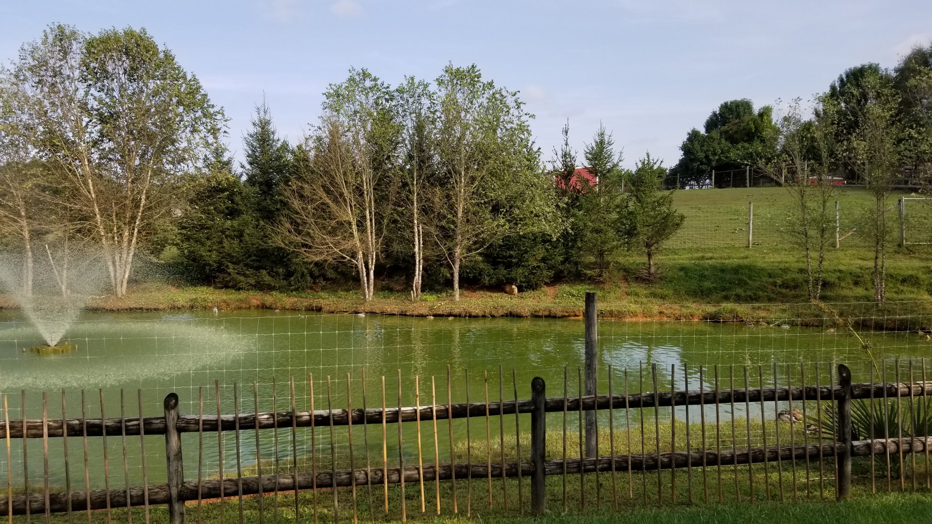 Brights Zoo - Baird's Tapir exhibit, center, with capybara on far side