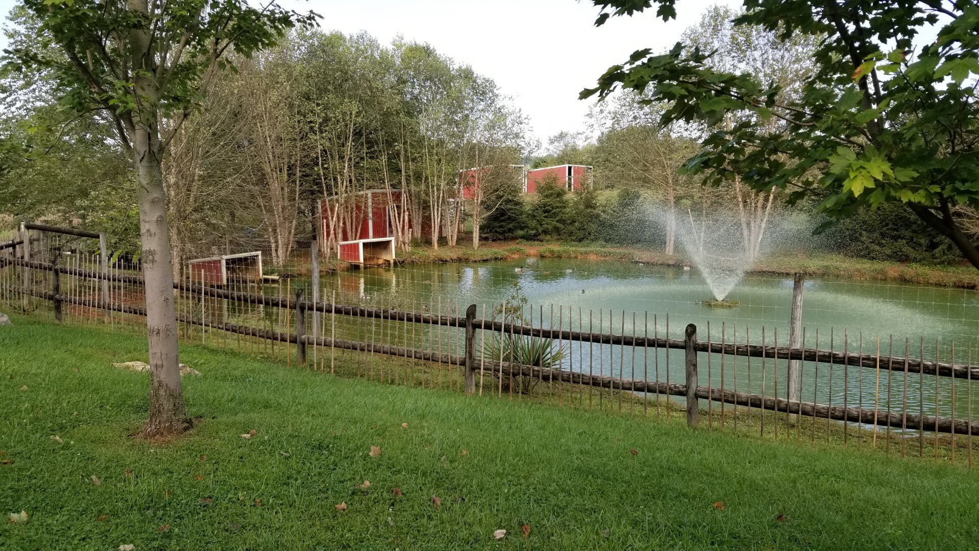 Brights Zoo - Baird's Tapir exhibit, left side