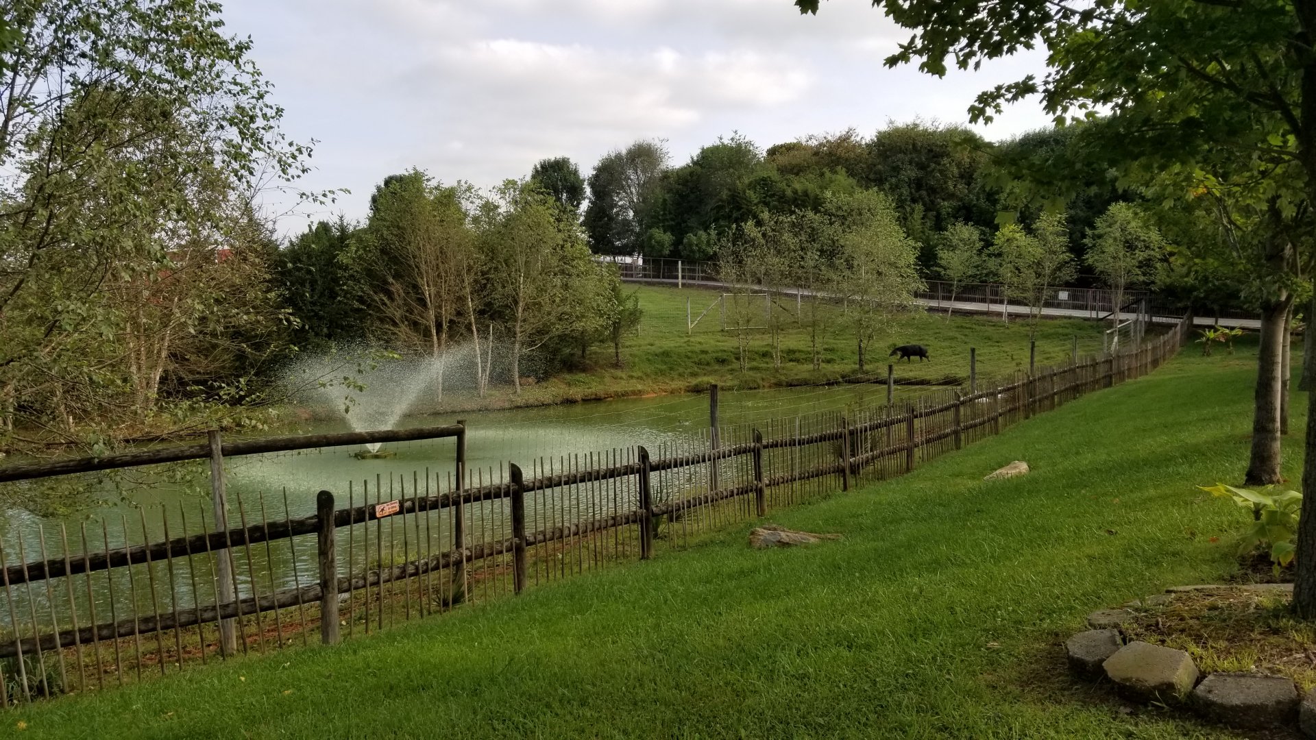 Brights Zoo - Baird's Tapir