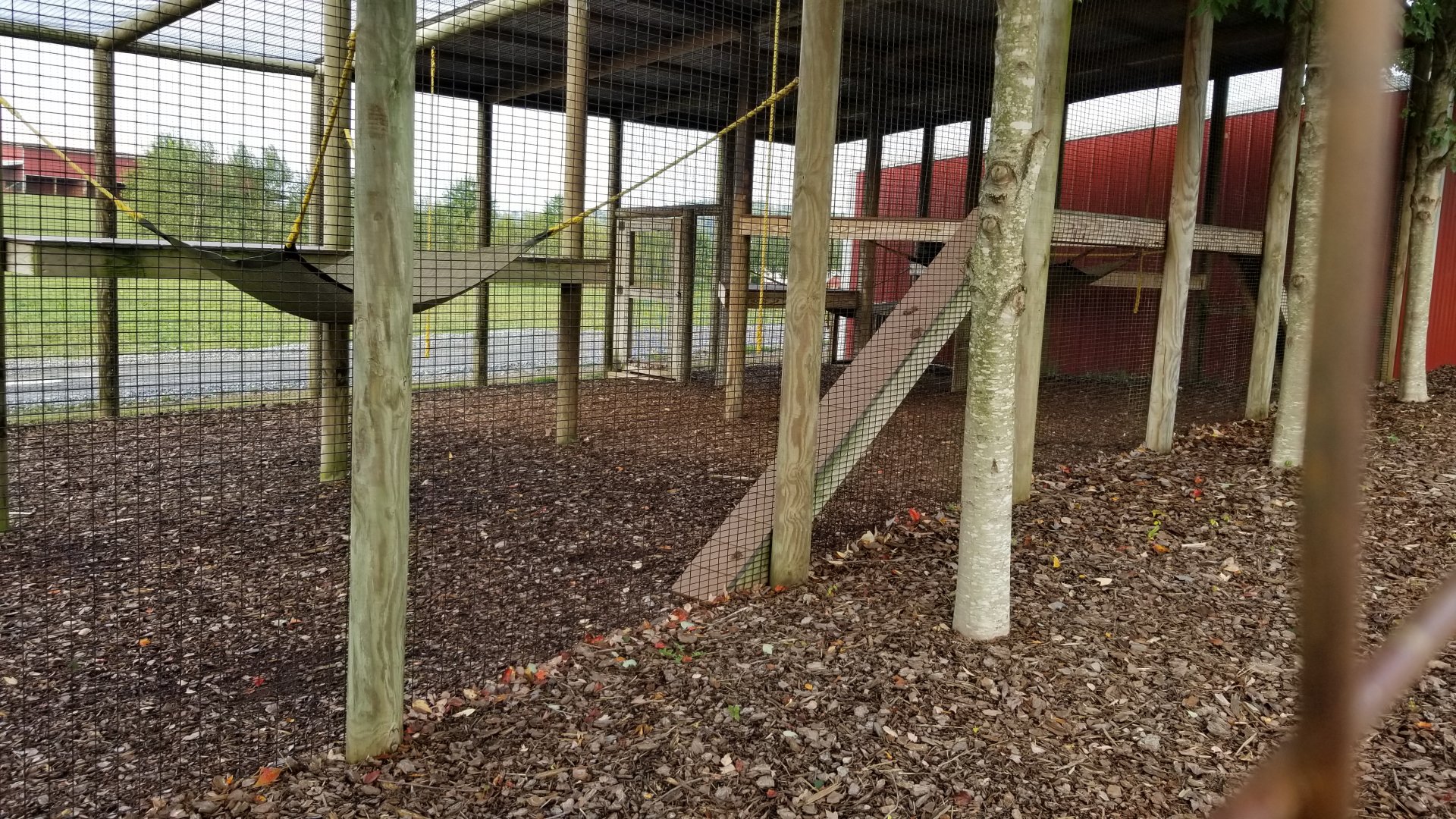 Brights Zoo - Black-handed Spider Monkey exhibit
