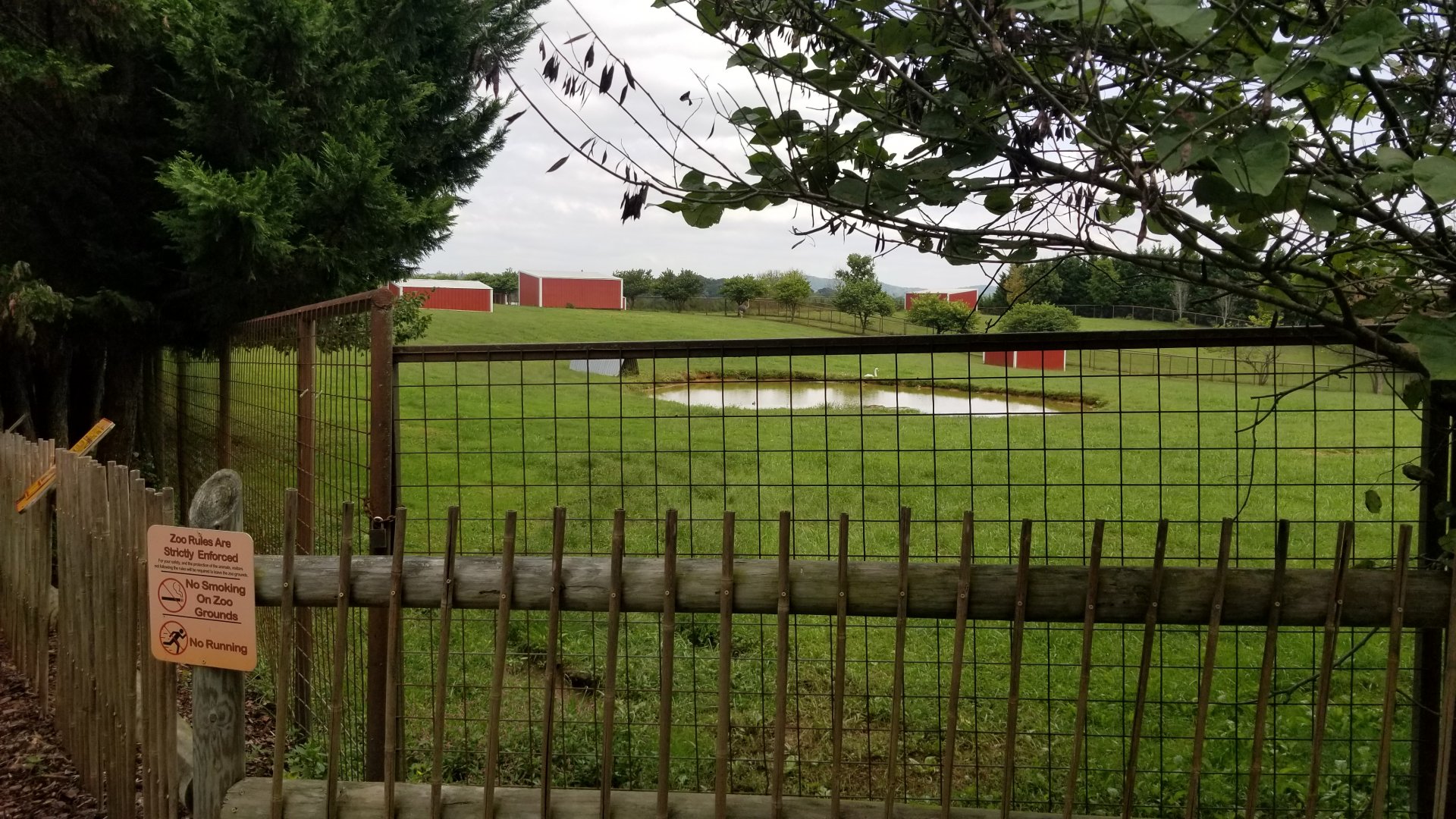 Brights Zoo - Far end of Gemsbok, Waterbuck yard